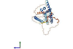 AlphaFold protein structure predicition of Mouse Recombinant Kcnk9 Protein, UniprotID Q3LS21