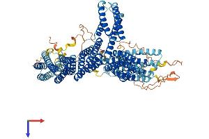 AlphaFold protein structure predicition of Human Recombinant CTNNA2 Protein, UniprotID P26232