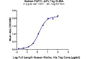 Immobilized Human FGF21 at 2 μg/mL (100 μL/Well) on the plate.