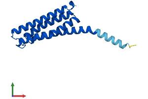 AlphaFold protein structure predicition of Mouse Recombinant Ltc4s Protein, UniprotID Q60860