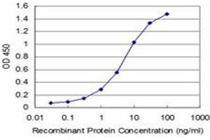 Detection limit for recombinant GST tagged TXN is approximately 0. (TXN anticorps  (AA 1-105))