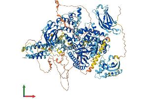 AlphaFold protein structure predicition of Human Recombinant PIK3C2B Protein, UniprotID O00750