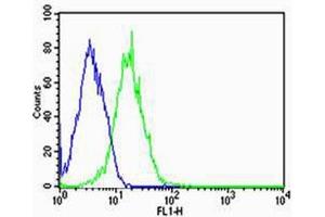 Flow cytometric analysis of HepG2 cells using T1 Antibody (C-term)(green, Cat(ABIN1944801 and ABIN2838504)) compared to an isotype control of mouse IgG1(blue).