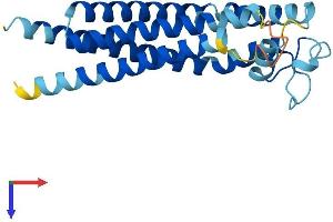 AlphaFold protein structure predicition of Mouse Recombinant Tspan2 Protein, UniprotID Q922J6