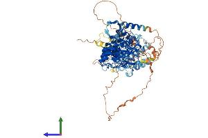AlphaFold protein structure predicition of Human Recombinant RIPK4 Protein, UniprotID P57078