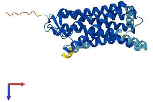 AlphaFold protein structure predicition of Mouse Recombinant Olfr143 Protein, UniprotID P34985