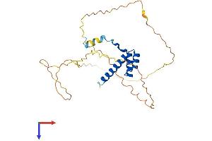 AlphaFold protein structure predicition of Mouse Recombinant Hoxa9 Protein, UniprotID P09631