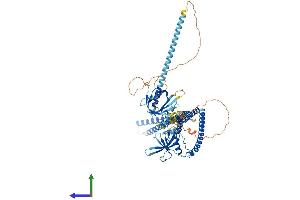 AlphaFold protein structure predicition of Human Recombinant APPL1 Protein, UniprotID Q9UKG1