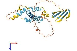 AlphaFold protein structure predicition of Human Recombinant DNAJB8 Protein, UniprotID Q8NHS0