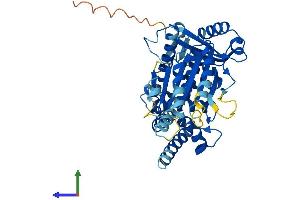 AlphaFold protein structure predicition of Mouse Recombinant Trip13 Protein, UniprotID Q3UA06