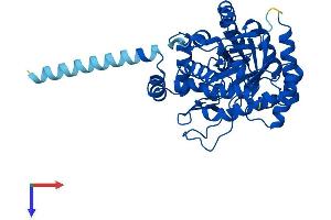 AlphaFold protein structure predicition of Human Recombinant DHODH Protein, UniprotID Q02127