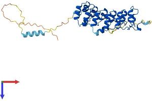 AlphaFold protein structure predicition of Mouse Recombinant Nfkbia Protein, UniprotID Q9Z1E3