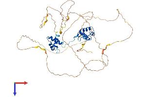 AlphaFold protein structure predicition of Human Recombinant PAX1 Protein, UniprotID P15863