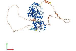 AlphaFold protein structure predicition of Human Recombinant DCLRE1B Protein, UniprotID Q9H816