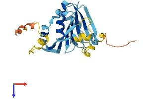 AlphaFold protein structure predicition of Mouse Recombinant Eif4e3 Protein, UniprotID Q9DBB5