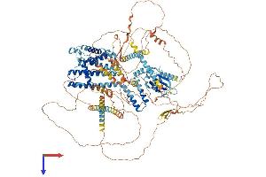 AlphaFold protein structure predicition of Human Recombinant CNGB1 Protein, UniprotID Q14028