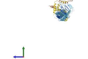 AlphaFold protein structure predicition of Human Recombinant MFN2 Protein, UniprotID O95140
