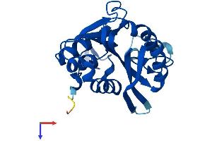 AlphaFold protein structure predicition of Human Recombinant N6AMT1 Protein, UniprotID Q9Y5N5