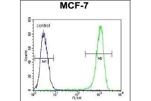 BCL10 Antibody (N-term) (ABIN654655 and ABIN2844351) flow cytometric analysis of MCF-7 cells (right histogram) compared to a negative control cell (left histogram). (BCL10 anticorps  (N-Term))