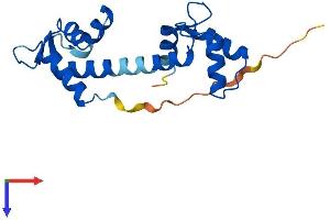 AlphaFold protein structure predicition of Mouse Recombinant Cetn1 Protein, UniprotID P41209