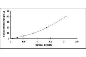 Typical standard curve (REG1A Kit ELISA)