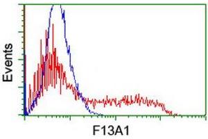 Image no. 7 for anti-Coagulation Factor XIII, A1 Polypeptide (F13A1) antibody (ABIN1498146)