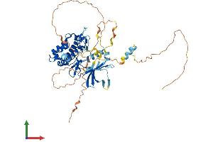 AlphaFold protein structure predicition of Mouse Recombinant Camkk1 Protein, UniprotID Q8VBY2