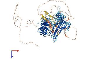AlphaFold protein structure predicition of Mouse Recombinant Arhgef10l Protein, UniprotID A2AWP8