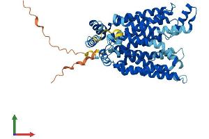 AlphaFold protein structure predicition of Human Recombinant SLC2A7 Protein, UniprotID Q6PXP3