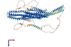 AlphaFold protein structure predicition of Human Recombinant EVC Protein, UniprotID P57679
