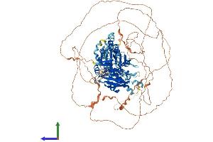 AlphaFold protein structure predicition of Human Recombinant MAP1S Protein, UniprotID Q66K74