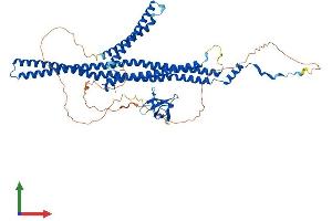 AlphaFold protein structure predicition of Human Recombinant FNBP1L Protein, UniprotID Q5T0N5