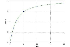 SRY (Sex Determining Region Y)-Box 9 (SOX9) ELISA Kit