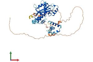 AlphaFold protein structure predicition of Human Recombinant MAEL Protein, UniprotID Q96JY0