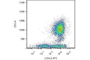 Surface staining of human peripheral blood leukocytes by mouse monoclonal anti-CD45R0 antibody UCHL1 .