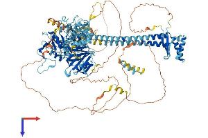 AlphaFold protein structure predicition of Mouse Recombinant Nemf Protein, UniprotID Q8CCP0