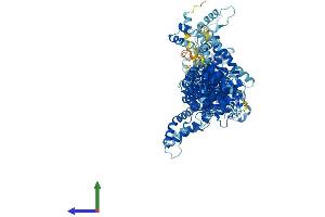 AlphaFold protein structure predicition of Human Recombinant CYFIP1 Protein, UniprotID Q7L576