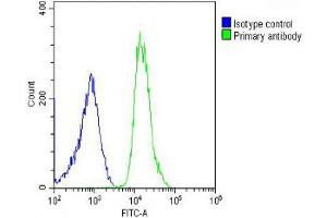Overlay histogram showing U-2OS cells stained with (ABIN656506 and ABIN2845778) (green line).