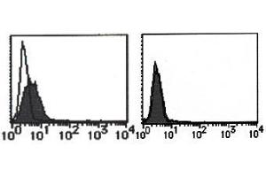 Flow Cytometry (FACS) image for anti-cDNA Sequence AF251705 (AF251705) antibody (ABIN1108296) (cDNA Sequence AF251705 (AF251705) anticorps)