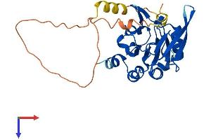 AlphaFold protein structure predicition of Mouse Recombinant Ctdsp2 Protein, UniprotID Q8BX07