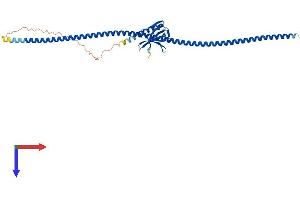 AlphaFold protein structure predicition of Mouse Recombinant Homer1 Protein, UniprotID Q9Z2Y3