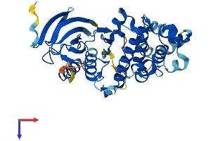 AlphaFold protein structure predicition of Mouse Recombinant Mapk12 Protein, UniprotID O08911