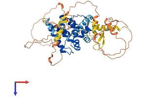 AlphaFold protein structure predicition of Human Recombinant NR0B1 Protein, UniprotID P51843