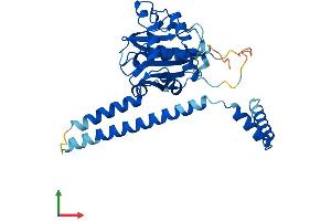 AlphaFold protein structure predicition of Human Recombinant UCHL5 Protein, UniprotID Q9Y5K5