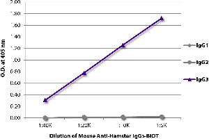 ELISA plate was coated with purified hamster IgG1, IgG2, and IgG3. (Souris anti-Hamster IgG3 Anticorps (Biotin))