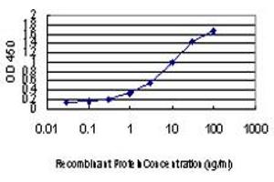Detection limit for recombinant GST tagged PEPD is approximately 0.