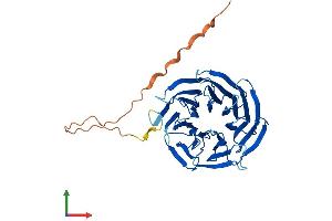 AlphaFold protein structure predicition of Human Recombinant SNRNP40 Protein, UniprotID Q96DI7
