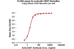 Elisa plates were pre-coated with Flag Tag CD47-Nanodisc (0.