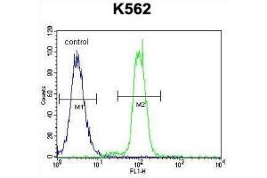 Flow Cytometry (FACS) image for anti-Kruppel-Like Factor 4 (Gut) (KLF4) antibody (ABIN2996460) (KLF4 anticorps)