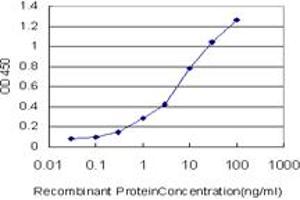 Detection limit for recombinant GST tagged POLR2H is approximately 0. (POLR2H anticorps  (AA 1-150))